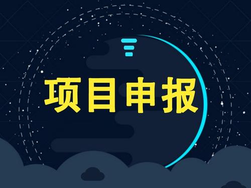 企業(yè)可以獨自申請項目補貼嗎？成功率怎么樣？