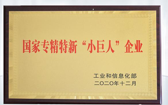 廣東省企業(yè)專精特新小巨人企業(yè)的認(rèn)定條件補貼