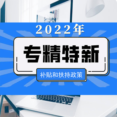 廣東省專精特新中小企業(yè)評(píng)分標(biāo)準(zhǔn)