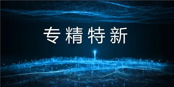 國(guó)家級(jí)專精特新小巨人怎么申報(bào)、條件流程