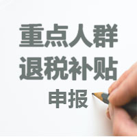 重點(diǎn)企業(yè)退稅優(yōu)惠補(bǔ)貼項(xiàng)目申報指南