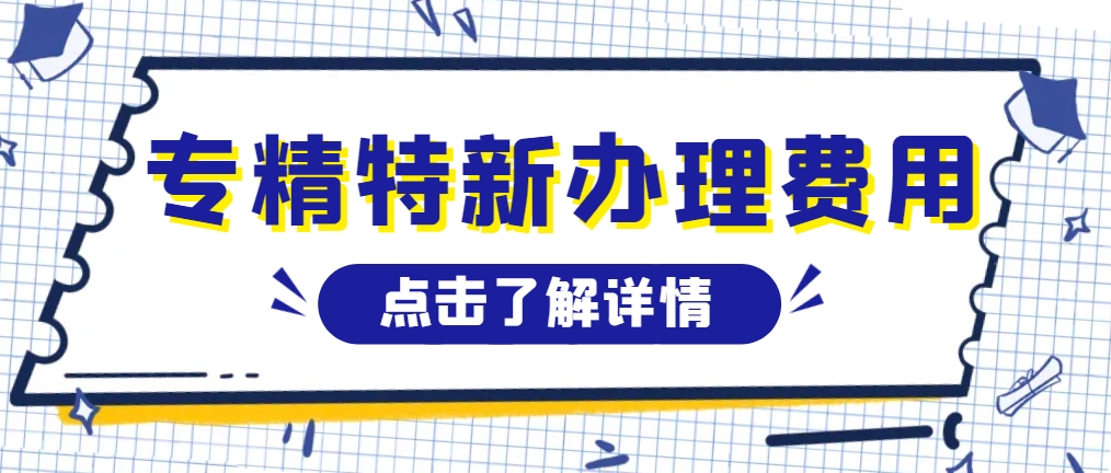 辦理專精特新項目的有哪些費用？